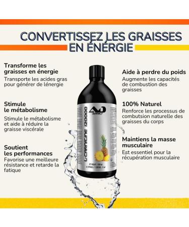 Addict Sport Nutrition Liquid Carnitine - Energy and Endurance Booster - Muscle Recovery and Optimized Oxygen Supply - L-Carnitine for Bodybuilding - 1 Liter (Tropical Pineapple Flavor) - Buy Online on GoSupps.com