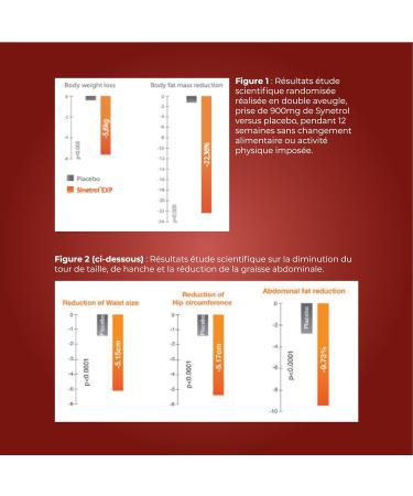 DIETI NATURA - Fat Burner Complex - Slimming Capsules - Promotes Weight Loss - Guarana - Non-GMO Gluten & Lactose Free - Made in France - 120 Capsules - Buy Online on GoSupps.com