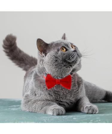 Personalized Cat Collars with Bells - Adjustable Pet Safety Collars for Small Dogs & Cats - 2 Pack in Red & Black - Buy Online on GoSupps.com