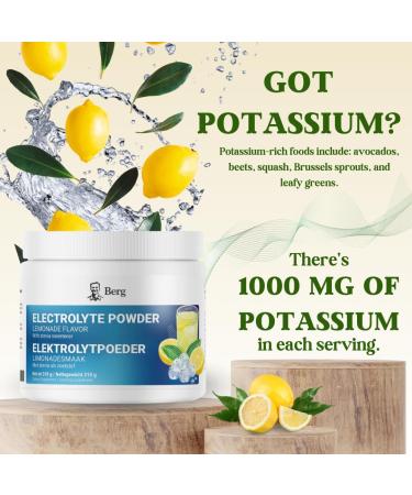 Dr Berg Nutritionals Berg Electrolyte Powder & Pink Himalayan Salt Magnesium & Calcium Keto Friendly Lemonade Flavor 50 Servings - Buy Online on GoSupps.com