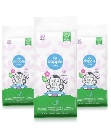 Hand & Face Wipes 30 ct Triple Pack 30 Count (Pack of 3)