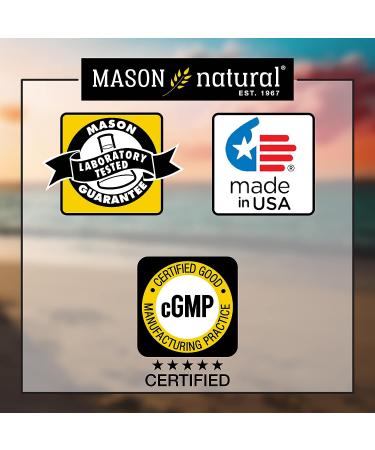 MASON NATURAL Fish Oil 1000mg | 300mg Omega-3 | Heart Health Support | Circulatory Function | Cardiovascular Health | 200 Softgels - Buy Online on GoSupps.com