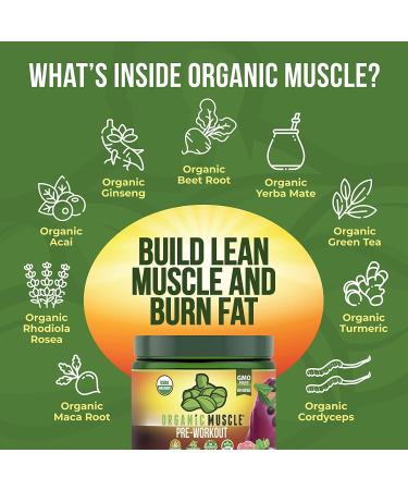 Organic Muscle Superfood Pre-Workout Powder - USDA Organic, Keto, Vegan, Non-GMO - Passionfruit Flavor for Energy, Focus, Performance & Endurance - 160g - Buy Online on GoSupps.com