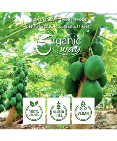 Organic Way Dried Papaya Coarse Cut - 1 Pound | Organic, Kosher, Raw, Vegan, Non-GMO, Gluten-Free | USDA Certified | Sri Lankan Origin - Buy Online on GoSupps.com