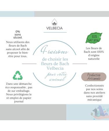 Animal agressif 30ml +1 OFFERT Elixirs de fleurs SANS ALCOOL - M thode du Dr Bach - Dangereux m chant impr visible attaque grogne - Buy Online on GoSupps.com