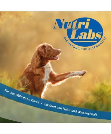 Nutrilabs Canicox HD Journey Tablets - Joint Support for Dogs with Glucosamine Chondroitin & Stomach Herbs - 100 Chewable Tablets - Buy Online on GoSupps.com