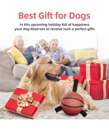 Hetoo Interactive Dog Toys - Basketball Tug-of-War Durable Balls & Puppy Gift for Small to Medium Dogs - Buy Online on GoSupps.com