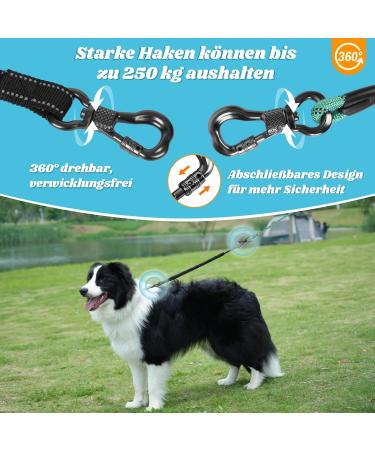 Shop Aystkniet Bungee Drag Line for Dogs - 3m to 30m Shock-Absorbing Leash with Padded Handle & Lockable Hook | Ideal for Medium & Large Dogs - Buy Online on GoSupps.com
