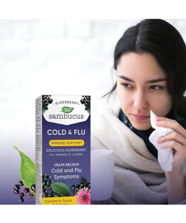 Nature's Way Sambucus Cold and Flu Care Immune with Vitamin C and Zinc Elderberry Syrup with Echinacea and Propolis Used in Herbal Medicine for Symptom Relief for Kids 2+ and Adults 120 ml - Buy Online on GoSupps.com
