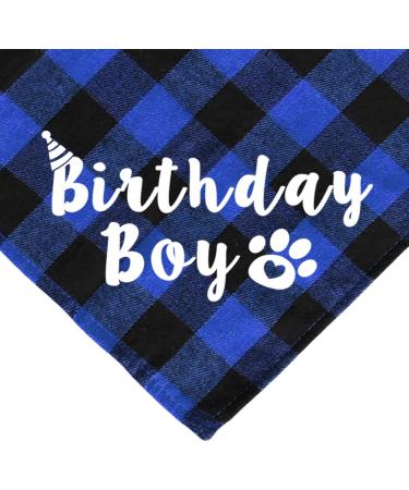 JOTFA Cat Birthday Party Supplies Kitten Bandana with Hat Bow Tie Number Banner Balloons Meow Letter for Decorations Blue - Buy Online on GoSupps.com