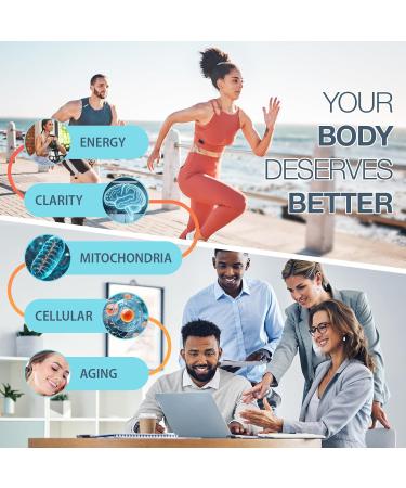 NADH Supplement with Methylated B Complex | High Absorption NAD+ Supplement Alternative for Women & Men | Cellular Energy and Mental Focus 60 Veg Capsules 60 Count (Pack of 1) - Buy Online on GoSupps.com