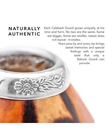 Buy Balibetov Yerba Mate Set - 2 Gourds 100g Yerba Mate 2 Bombilla & Cleaning Brush - Authentic Argentine Experience - Buy Online on GoSupps.com