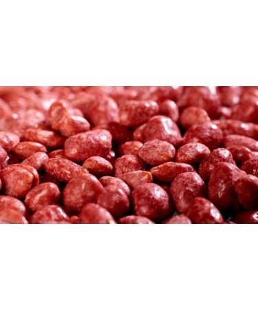 Nona Red Nuts - 1100g Roasted Peanuts in Mason Jar | Sweet Red Sugar Coated Party Snack | Unique German Delicacy - Buy Online on GoSupps.com