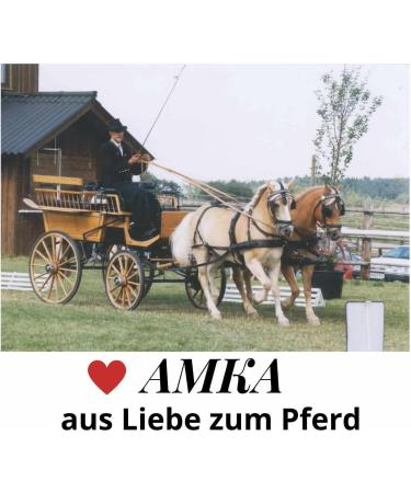 AMKA Decorative Halter - COB Show Bridle & Driving Halter with Brass Fittings | International Shipping - Buy Online on GoSupps.com