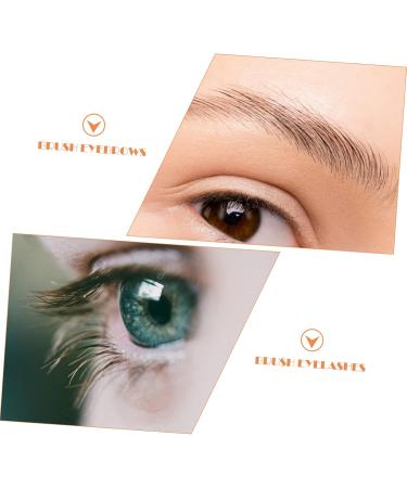 DOITOOL 1 Set Eyelash Comb Eyebrow Brush Eyelash Brush Makeup Gadgets Eyebrow Trimming Comb The Lash Tool Eyebrow Trimming Brush Cosmetics Tool Makeup Tool Toothbrush Type Woman - Buy Online on GoSupps.com