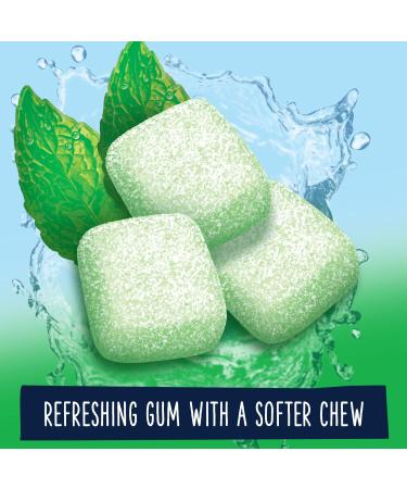 EXTRA Refreshers Spearmint Chewing Gum 40 Pieces - Pack of 4 | Spearmint Flavor | Long Lasting Freshness - Buy Online on GoSupps.com