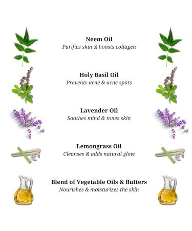 Rustic Art Organic Neem Basil Face Wash Concentrate for Deep Cleansing | Anti-Bacterial Anti-Fungal | 50gm - Buy Online on GoSupps.com