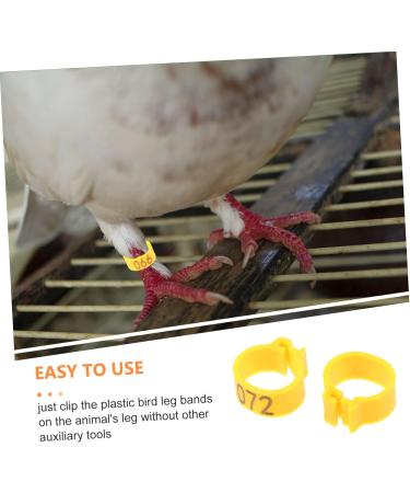 Kisangel 200 Pcs Pigeon Anklet Where Tag Pigeon Deterrent Spray Foot Ring for Pigeon Number Baby Pigeon Ring 1.3X1.3CMx2pcs Yellowx2pcs - Buy Online on GoSupps.com