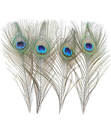 12 PCS Real Natural Peacock Eye Feathers 10-12 inch - DIY Craft & Wedding Decor - Buy Online on GoSupps.com