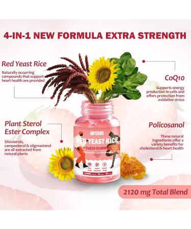 ABYSSUS A Bundle of CDP-Choline Gummies + Red Yeast Rice & CoQ10 Gummies Designed to Cognitive Support and Heart Health in a Tasty Convenient Format - Buy Online on GoSupps.com