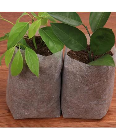 Saterkali 100Pcs Planting Bag High Performance Easy to Use Degradable Nursery Bag for Planting 18cm x 20cm 4X-Large - Buy Online on GoSupps.com