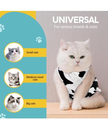 Avont Katzenbody: Post-Op Recovery Suit for Cats - Leakage Protection for Abdominal Wounds & Skin Diseases | International Shipping Available - Buy Online on GoSupps.com