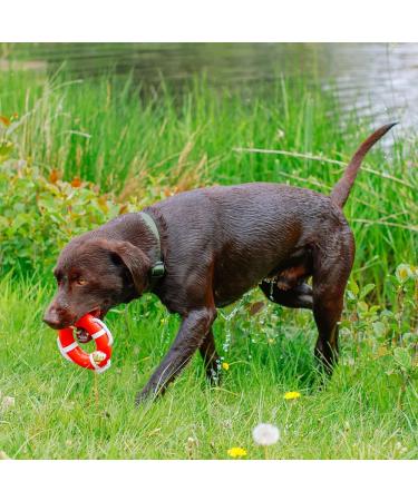 Nobby TPR Lifebuoy with Rope - 15 cm - Durable Floating Safety Device for Pets - International Shipping Available - Buy Online on GoSupps.com