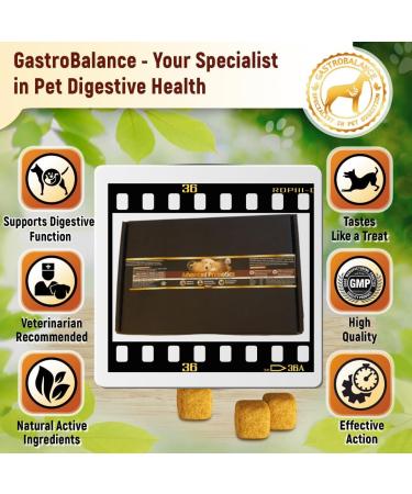 GastroBalance Advanced Probiotics for Gut Health - 60 Vet Recommended Natural Probiotic Chews (Chicken Flavor) - Buy Online on GoSupps.com