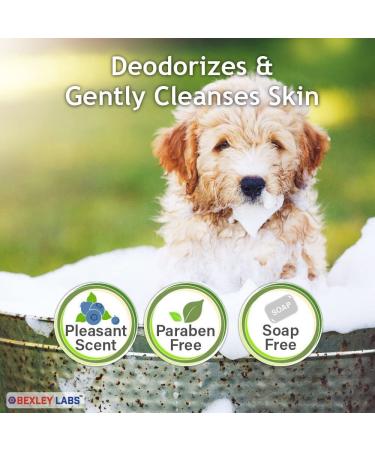 Curaseb Chlorhexidine 4% Shampoo for Dogs & Cats - 12 Oz | Maximum Veterinary Strength Formula - Buy Online on GoSupps.com