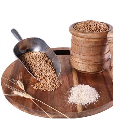 Organic Einkorn Wheat Berries 3lbs - Ancient Grain Superfood (1 Pack) - Buy Online on GoSupps.com