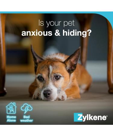 Zylkenee 450mg - 20 Capsules | Natural Stress Relief Supplement for Pets | Fast International Shipping - Buy Online on GoSupps.com