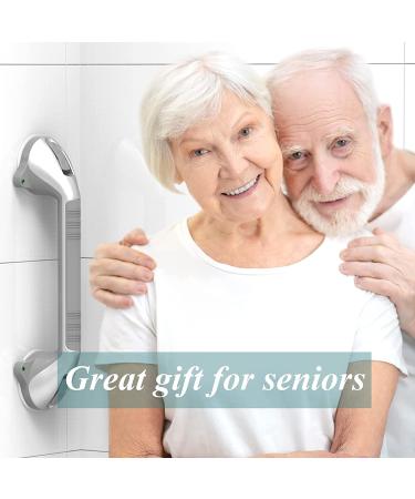 AquaChase 2-Pack 17 Suction Shower Grab Bar with Indicators  Tool-Free Installation  Steady Handle for Balance Assist for Bathtub  Toilet  Bathroom  Dual Tone  Silver/Grey 17in  Pack of 2 Gray - Buy Online on GoSupps.com