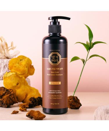 Daeng Gi Meo Ri Gold Shampoo & Ki Gold Cushion Combo - Korean Hair Care for Gray Hair Darkening & Scalp Coverage - Buy Online on GoSupps.com