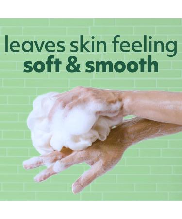 Softsoap Eucalyptus & Mint Body Wash 20 Oz - Moisturizing 4 Pack - 80 Fl Oz Total - Buy Online on GoSupps.com