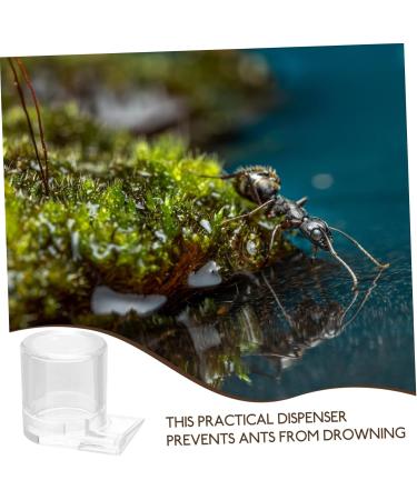 GRIRIW Pet Water Feeder Ant Water Feeders Ant Waterer Cup Water Feeding Cup for Ant Nest Clear Ants Feeder Ant Keeper Tools Ant Feeding Cup Ant Watering Cup Ant Keeping Ant Bottle Feeder - Buy Online on GoSupps.com