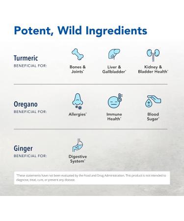 NORTH AMERICAN HERB & SPICE Turmeric Power-Plus - 120 Count - Curcumin & Turmerones Whole Food Extract - Joint Heart & Digestive Health Support - Antioxidant - Non-GMO - 60 Servings 120 Count (Pack of 1) - Buy Online on GoSupps.com