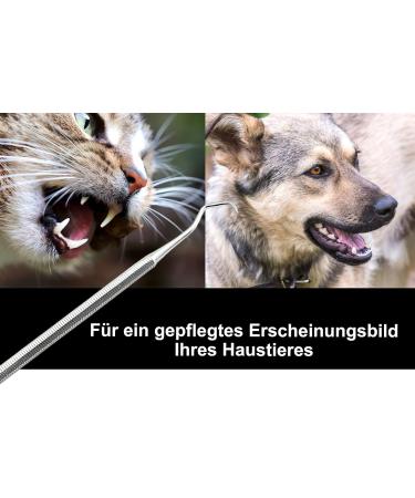 Stainless Steel Dog Denture Remover & Tartar Scraper | Effective Pet Dental Care Tool - Buy Online on GoSupps.com