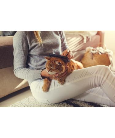 Lambskin Brush for Pets - Universal Care Brush for Dogs & Cats | Soft Grip Long & Short Hair Fur Brush | Black/Red - Buy Online on GoSupps.com