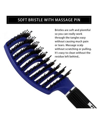 FIXBODY Boar Bristle Hair Brush - Curved Vented Design for Long Thick Curly Hair - Detangling & Blow Drying Brush (Blue) - Buy Online on GoSupps.com