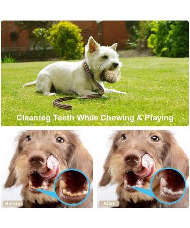 4-Piece Cotton Rope Dog Toy Set | Chew Toys for Small & Medium Dogs | Dental Care Puppy Toys with Knot Ball - Buy Online on GoSupps.com