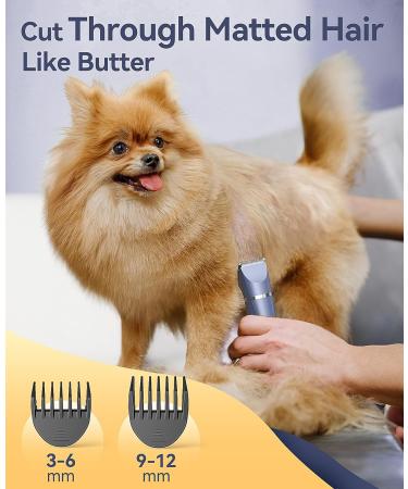 oneisall Dog Clippers Grooming Kit 4 in 1 Quite Cordless Dog Paw Trimmer & Nail Grinders & Small Dog Trimmer for Grooming Pet Clippers Shaver Trimmer for Small Dogs (Blue) - Buy Online on GoSupps.com