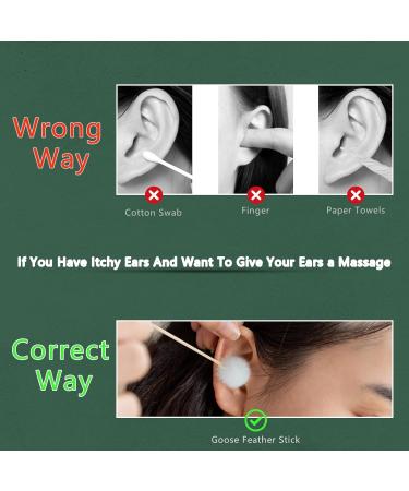 HIDAMAZY Goose Feather Ear Pick 20 Pieces Bamboo Massage Stick Ear Massage Tool Ear Wax Remover Cleaning Earpick Feather Tickler Stick for Women Girls Adult Ear Care Massage (20Pcs 6.6inch S) SMALL SIZE 20 Pcs White - Buy Online on GoSupps.com