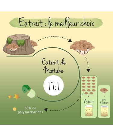 Maitake BIO Vegavero | High Dosage: 7500 mg | Standardized Extract to 50% Polysaccharides | Natural Antioxidant + Anti Stress | No Additives | 60 Capsules | Vegan - Buy Online on GoSupps.com