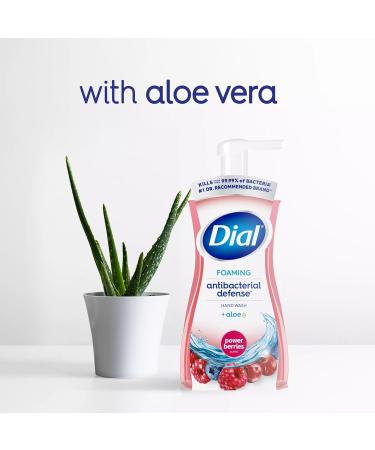 Dial Antibacterial Foaming Hand Wash - Power Berries 7.5 Oz Pump Bottle | Bulk 8/Carton - Shop Now - Buy Online on GoSupps.com