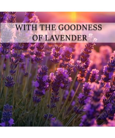 minature Body Butter - 50g (1.7oz) | Enriched with Lavender oil | Non-Greasy Moisturizer | Enriched with Levender oil | Cruelty-Free| Light Weight - Buy Online on GoSupps.com