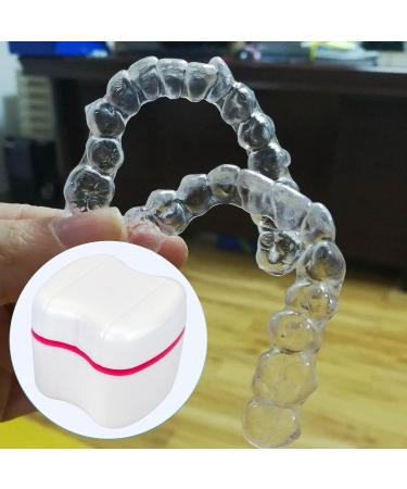 Denture Box Retainer Case Denture Storage Bath Box Denture Holder Box Cleaning Box Lightweight and Portable Cleaning Box with Filter (L Blue) L Blue - Buy Online on GoSupps.com