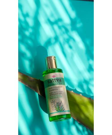  Sattva Ayurveda Sattva Ayurveda Neem & Aloe Vera Hair Shampoo 210ml Paraben Free SLS - Buy Online on GoSupps.com