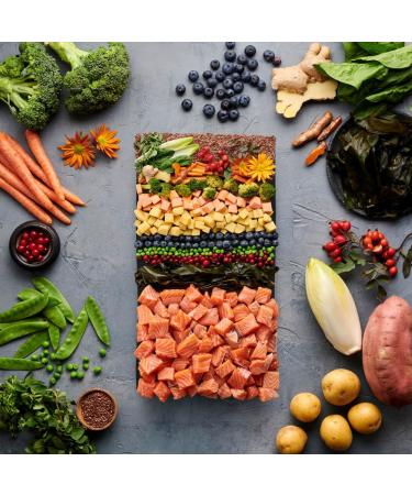 Irish Pure Hypoallergenic Dog Food 12kg - Atlantic Salmon & Kelp Grain-Free High Meat Content Sensitive Formula for All Breeds - Buy Online on GoSupps.com