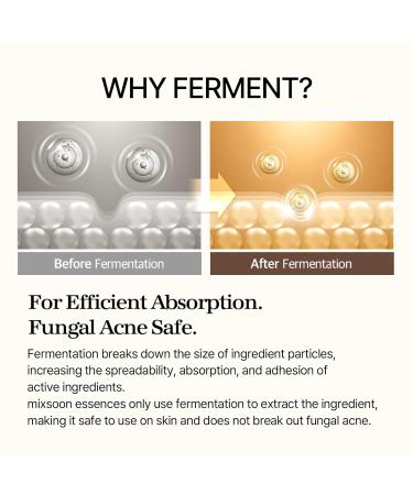 mixsoon Bean Cream 1.69 fl.oz / 50ml Bean Essence 1.01 fl oz/ 30ml - Buy Online on GoSupps.com