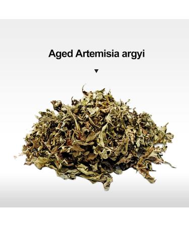 Buy Zhongyan Taihe Moxibustion Mini-MoXA Stick - 216 Self-Adhering Moxa Sticks for Korean Acupuncture - 100% Wermholz - Cone Roll & Mug Included - Buy Online on GoSupps.com